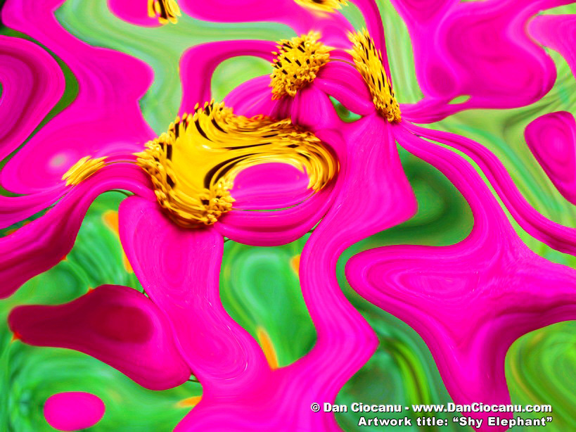 Shy Elephant - original modern art by Dan Ciocanu Shy Elephant - original modern art by Dan Ciocanu