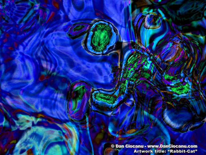 Rabbit Cat - contemporary artwork signed by Dan Ciocanu Rabbit Cat - contemporary artwork signed by Dan Ciocanu