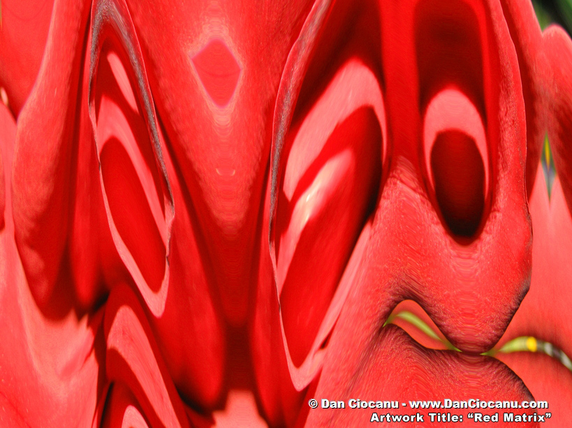 Red Matrix - signed abstract art by Dan Ciocanu Red Matrix - signed abstract art by Dan Ciocanu